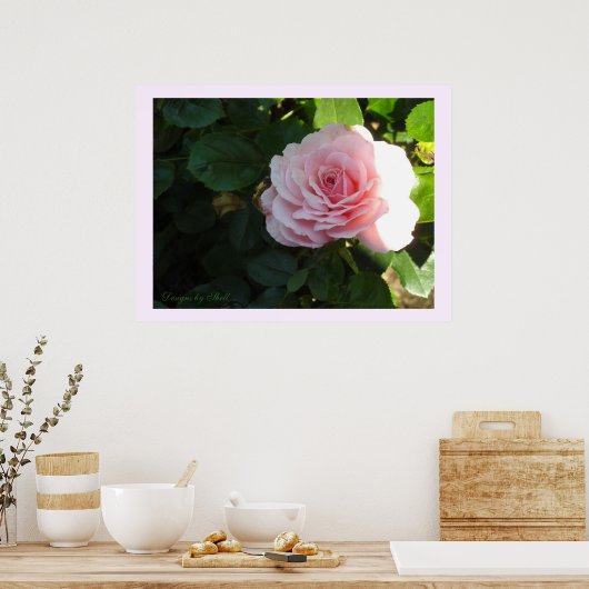 Rosa Blushing Poster (Küche)