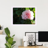 Rosa Blushing Poster (Heimbüro)