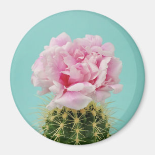 Rosa Blüte auf stacheligem Kaktus Magnet