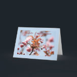 Rosa Blüte Beileid Karte Italienisch<br><div class="desc">rosa Anthurium-Beileid-Karte,  in verschiedenen Sprachen erhältlich</div>