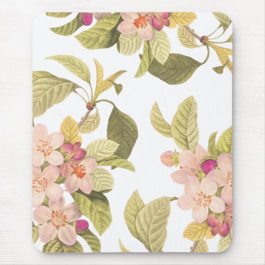 Rosa Blüte Blütensommer Floral Botanica Mousepad (Vorne)