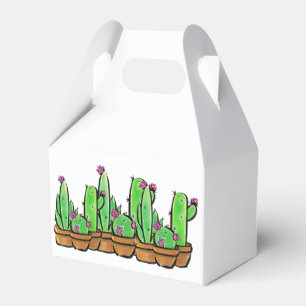Rosa Blüte Cactus cacti succulents Geschenkschachtel