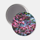 Rosa Blüte Dogwood Magnet (Vorderseite/Rückseite)