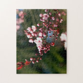 Rosa Blüte im warmen Sommerlicht Puzzle (Vertikal)