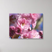 Rosa Blüte japanischer Kirschblüten Kunst