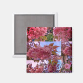 Rosa Blüte Magnet (Vorderseite/Rückseite)