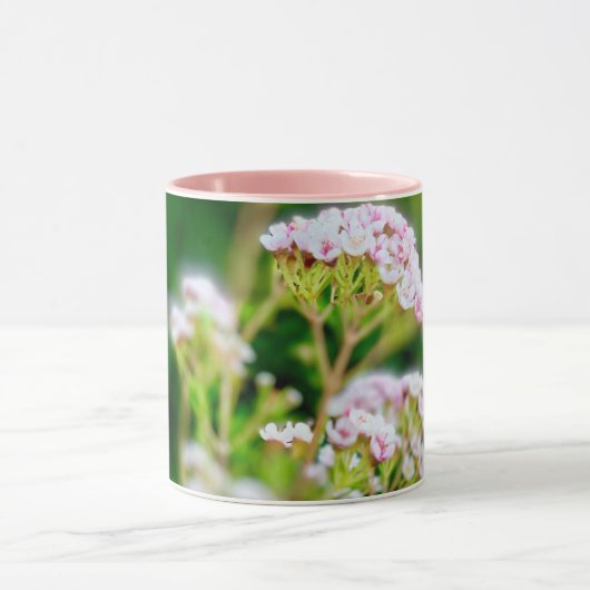 Rosa Blüte Tasse (Zentrum)