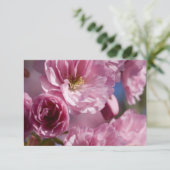 Rosa Blüten (Stehend Vorderseite)