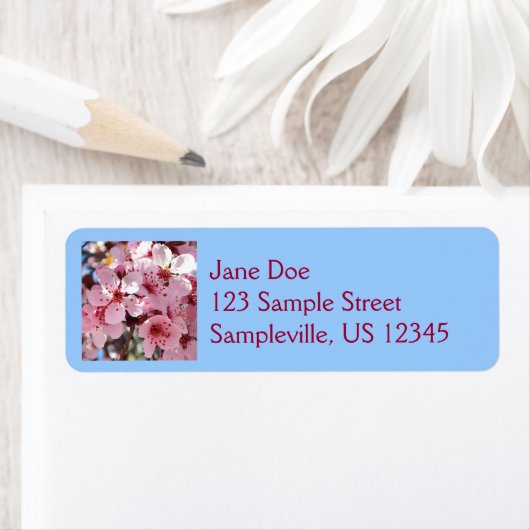 Rosa Blüten auf Zierblumen (Insitu)