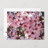 Rosa Blüten auf Zierblumen Postkarte (Vorne/Hinten)