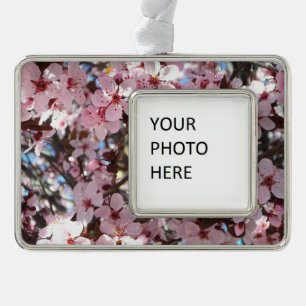 Rosa Blüten auf Zierblumen Rahmen-Ornament Silber