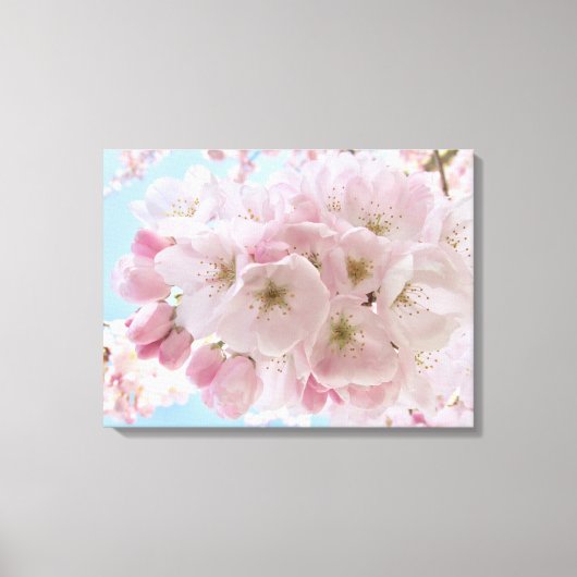 Rosa Blüten blauer Himmel. Leinwanddruck (Vorderseite)