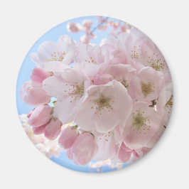 Rosa Blüten blauer Himmel. Magnet