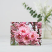 Rosa Blüten Blumen Frühjahrsporte Postkarten nach (Stehend Vorderseite)