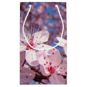 Rosa Blüten-Blumen-Frühlings-Geschenk sackt Kleine Geschenktüte (Rückseite)