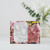 Rosa Blüten Blumenbeete Foto Postkarte (Stehend Vorderseite)