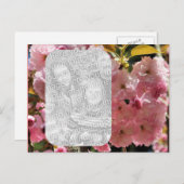 Rosa Blüten Blumenbeete Foto Postkarte (Vorne/Hinten)