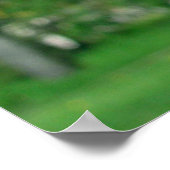 Rosa Blüten drucken Poster (Ecke)