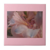 Rosa Blüten Fliese (Vorderseite)