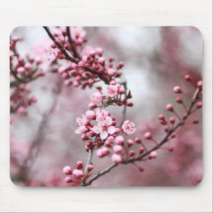 Rosa Blüten im Frühlings-Foto Mousepad