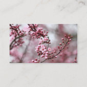 Rosa Blüten im Frühlings-Foto Visitenkarte (Rückseite)