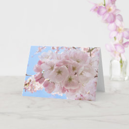 Rosa Blüten Karte