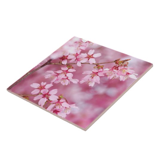 Rosa Blüten Keramik Tile Fliese (Seite)