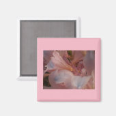 Rosa Blüten Magnet (Vorderseite/Rückseite)