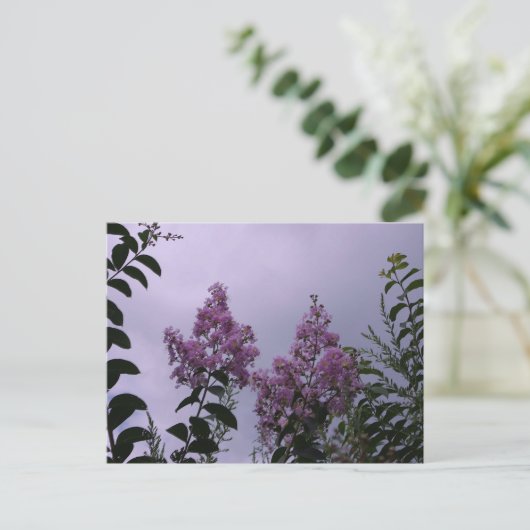 Rosa Blüten Postkarte (Stehend Vorderseite)