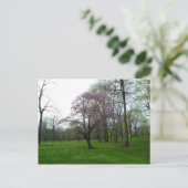 Rosa Blüten Postkarte (Stehend Vorderseite)