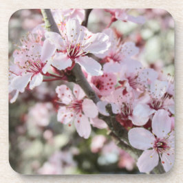 Rosa Blüten roten Stiele. Getränkeuntersetzer