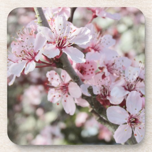 Rosa Blüten roten Stiele. Getränkeuntersetzer (Vorderseite)