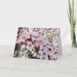 Rosa Blüten roten Stiele. Karte