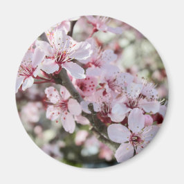 Rosa Blüten roten Stiele. Magnet