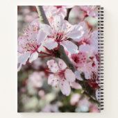 Rosa Blüten roten Stiele. Notizblock (Rückseite)