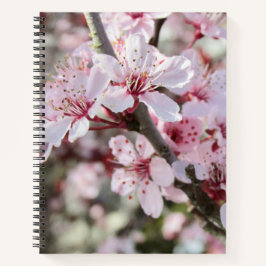 Rosa Blüten roten Stiele. Notizblock