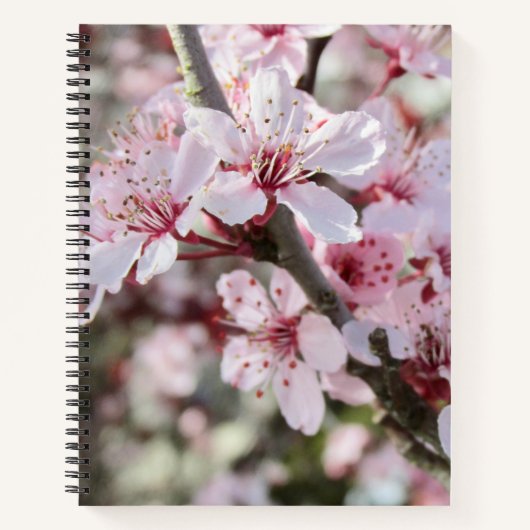 Rosa Blüten roten Stiele. Notizblock (Vorderseite)