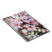 Rosa Blüten roten Stiele. Notizblock (Rechte Seite)