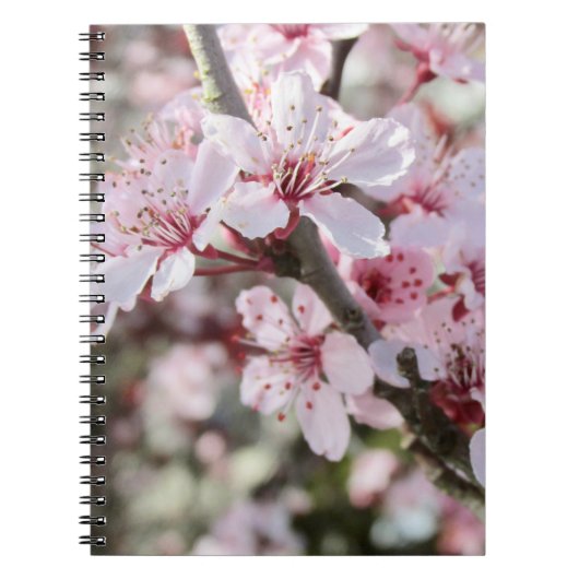 Rosa Blüten roten Stiele. Notizblock (Vorderseite)