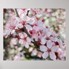 Rosa Blüten roten Stiele. Poster