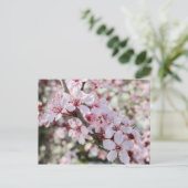 Rosa Blüten roten Stiele. Postkarte (Stehend Vorderseite)