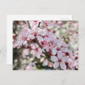 Rosa Blüten roten Stiele. Postkarte (Vorne/Hinten)