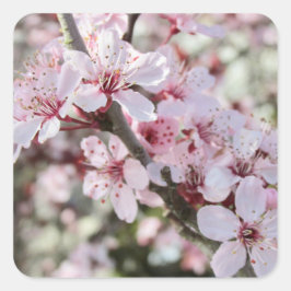 Rosa Blüten roten Stiele. Quadratischer Aufkleber