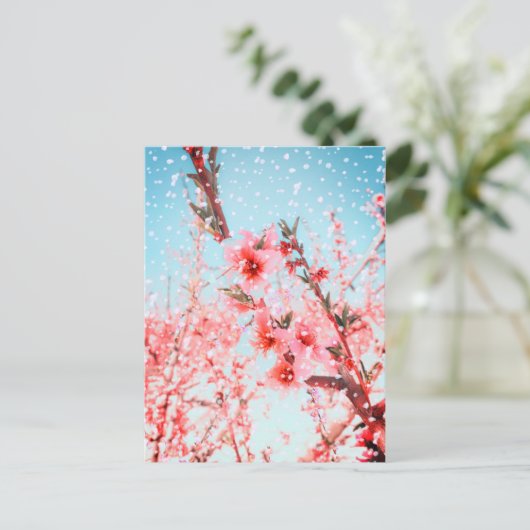 Rosa Blüten und fliegende Blüten (oder Schnee?) Postkarte (Stehend Vorderseite)