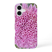 Rosa Blütenaster Botanisches iPhone 16 Case