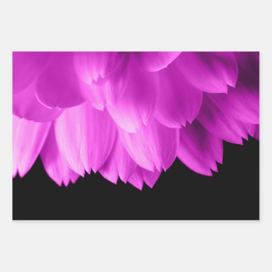 Rosa Blütenblätter auf schwarzen Blume Geschenkpapier Set (Vorderseite 3)