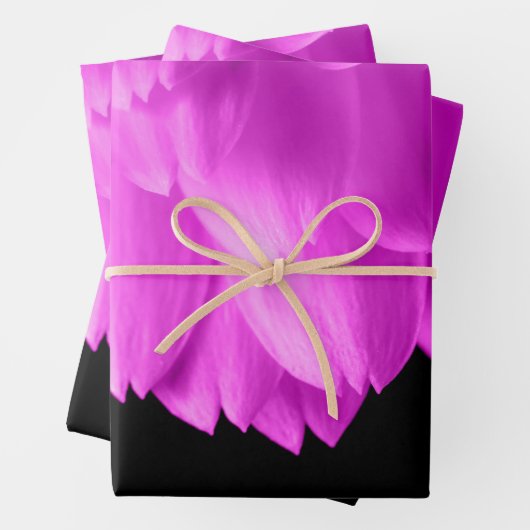 Rosa Blütenblätter auf schwarzen Blume Geschenkpapier Set (Beispiel)