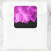 Rosa Blütenblätter auf schwarzen Blume Quadratischer Aufkleber (Tasche)