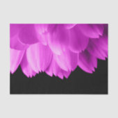 Rosa Blütenblätter auf schwarzen Blume Seidenpapier (Vorderseite)