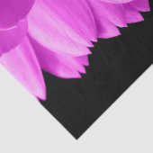 Rosa Blütenblätter auf schwarzen Blume Seidenpapier (Ausschnitt)